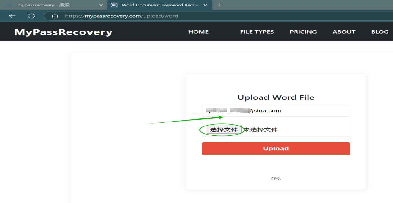 Email Input and File Selection